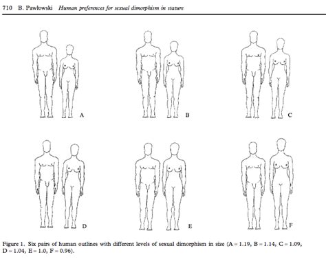 perfect height ratio for couples|The Perfect Height Ratio For Couples: A Guide To Finding Your。